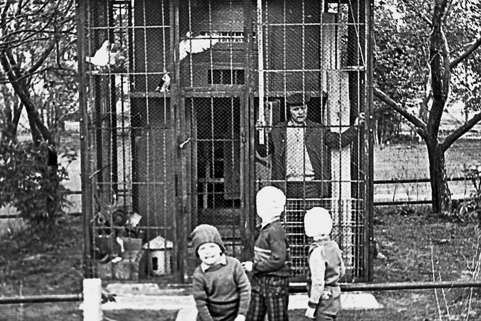 зачем строили голубятни в советское время. 700 5d9cde7182682c357d87561b. зачем строили голубятни в советское время фото. зачем строили голубятни в советское время-700 5d9cde7182682c357d87561b. картинка зачем строили голубятни в советское время. картинка 700 5d9cde7182682c357d87561b.
