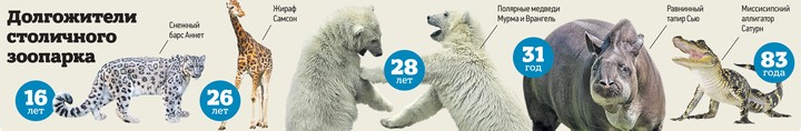 Животные на пенсии: пожилым зверям в Московском зоопарке продлевают жизнь