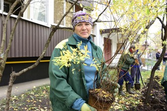 Четверть миллиона кустарников высадили во дворах СЗАО