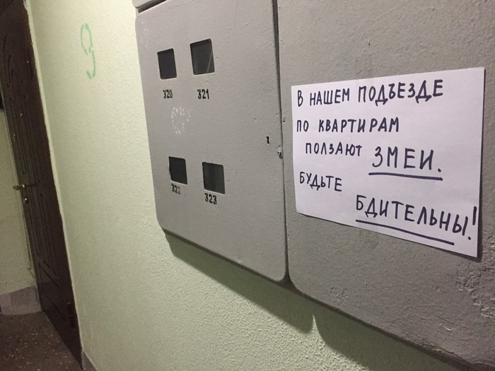 может ли змея залезть по стене. 700 5dcc06b982682c3e3e11b1e6. может ли змея залезть по стене фото. может ли змея залезть по стене-700 5dcc06b982682c3e3e11b1e6. картинка может ли змея залезть по стене. картинка 700 5dcc06b982682c3e3e11b1e6. Проблема змей всегда была актуально для людей, особенно для тех, кто живет в сельской местности. Если есть вероятность появления змей в доме, то люди начинают бояться выходить из своих комнат и начинают боятся ложиться спать. Если вы подходите под описание, то, не кажется ли вам, что что-то пора предпринять?
