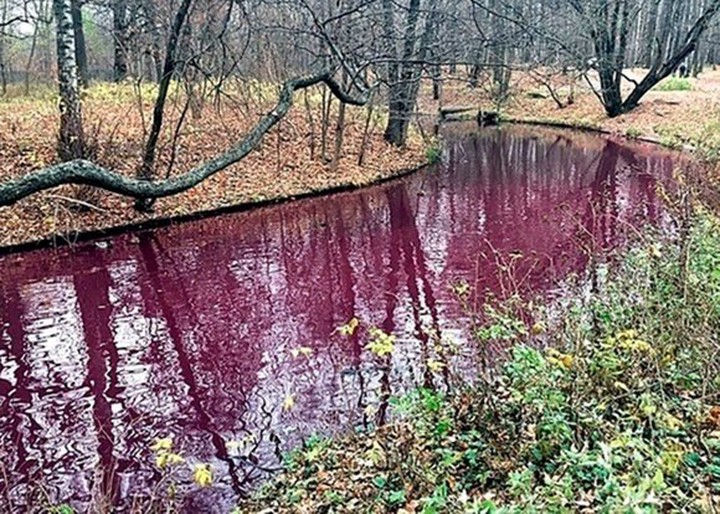 Мосводосток объяснил, почему река на севере столицы окрасилась в багровый цвет