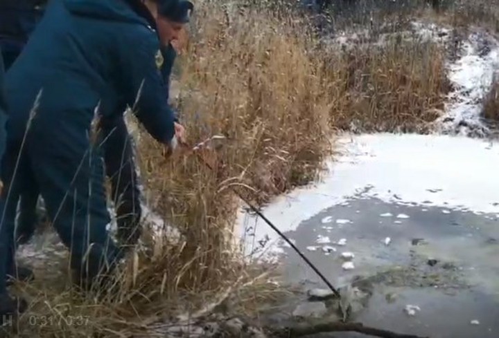 Тело пропавшего под Смоленском мальчика нашли в пруду подо льдом