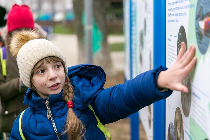 У горожан появляется больше возможностей понаблюдать за природой