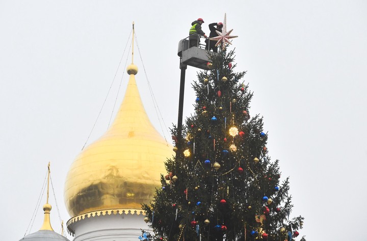 Главную новогоднюю елку страны доставят из Наро-Фоминского лесничества