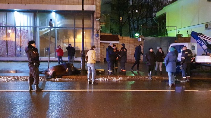 Лошадь погибла от удара током в центре Москвы