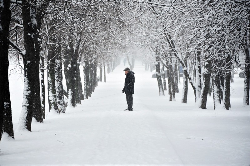 Суббота стала второй в списке самых снежных дней в Москве за 142 года