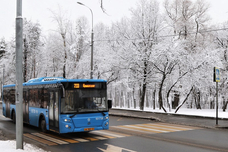 Москвичам рассказали, как изменятся автобусные маршруты в новогодние праздники