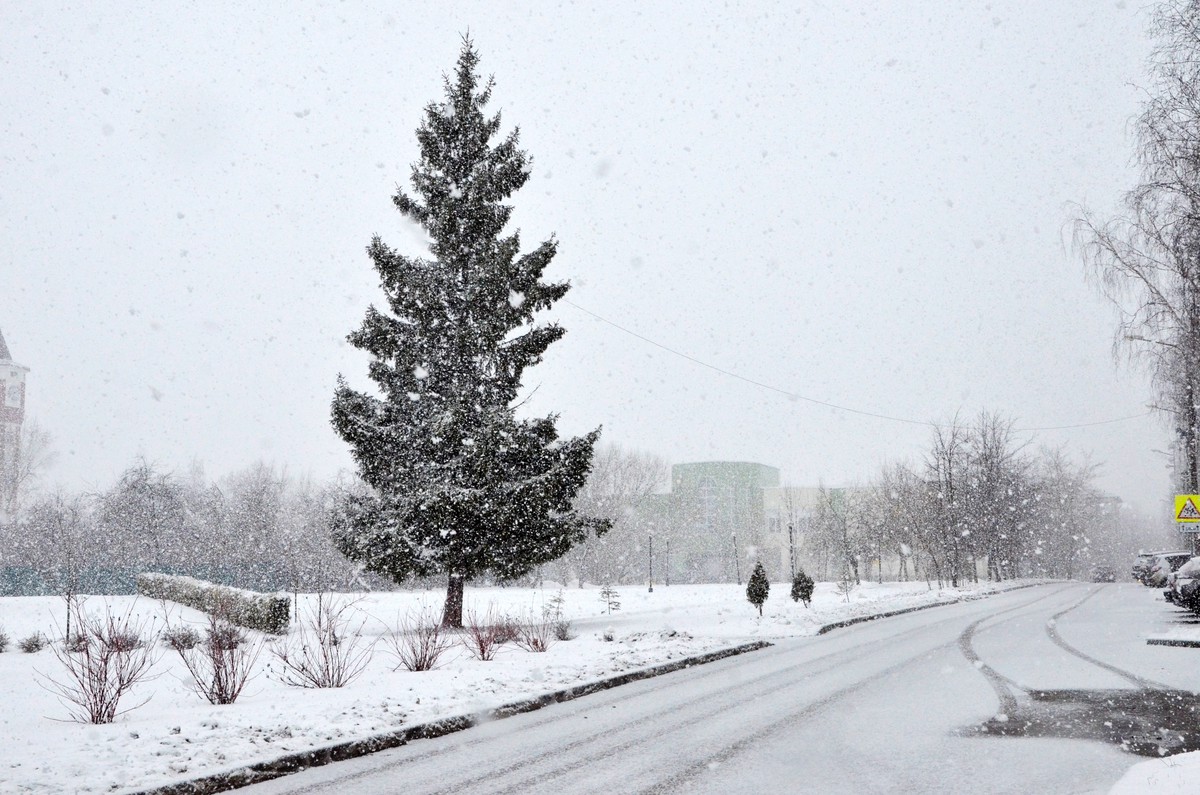 Небольшой снег и морозы спрогнозировали в Москве в предстоящие выходные