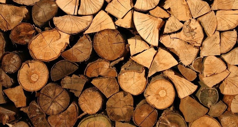 Злоумышленники заработали более 60 миллионов рублей на незаконной вырубке леса