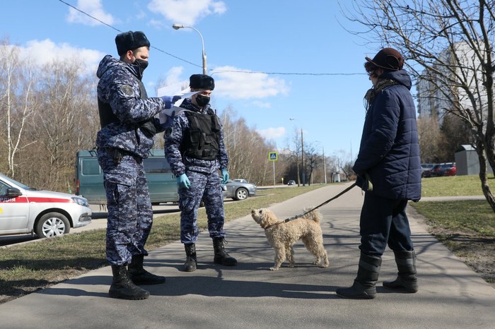 В Кремле объяснили введение пропусков в Москве плохой дисциплиной граждан