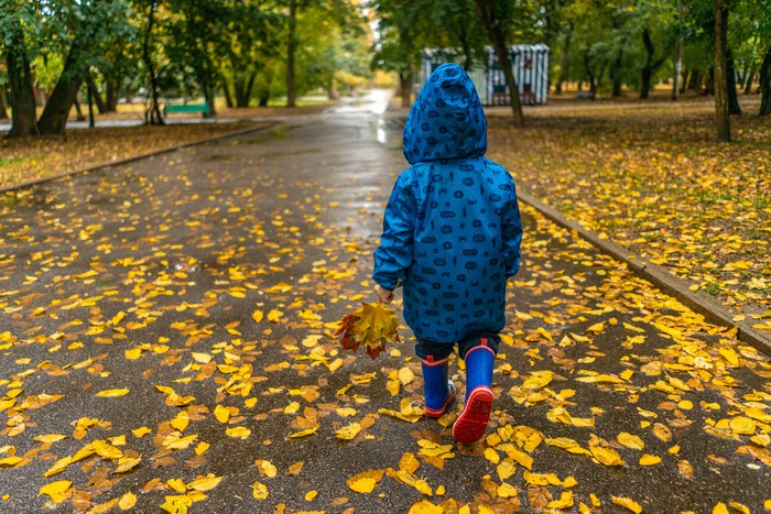 Москвичам пообещали возвращение бабьего лета