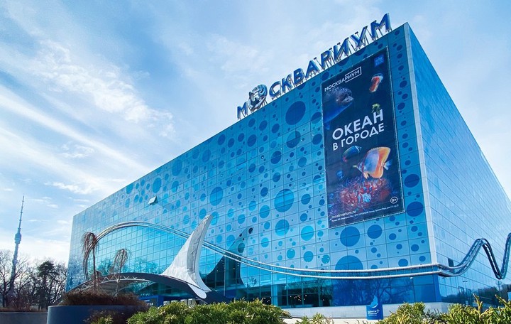 «Москвариум» подготовил спецпрограмму ко Всемирному дню осьминога