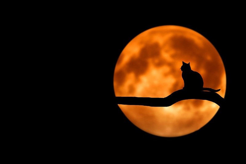 Астролог рассказала, чего ждать от «кровавой Луны»