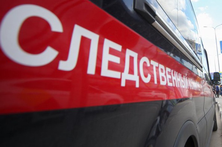 СМИ сообщили, что найденные в Москве дети рождены суррогатными матерями