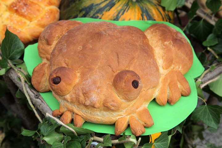 Щепотку соли и перец по вкусу: самоизоляция превратила москвичей в поваров