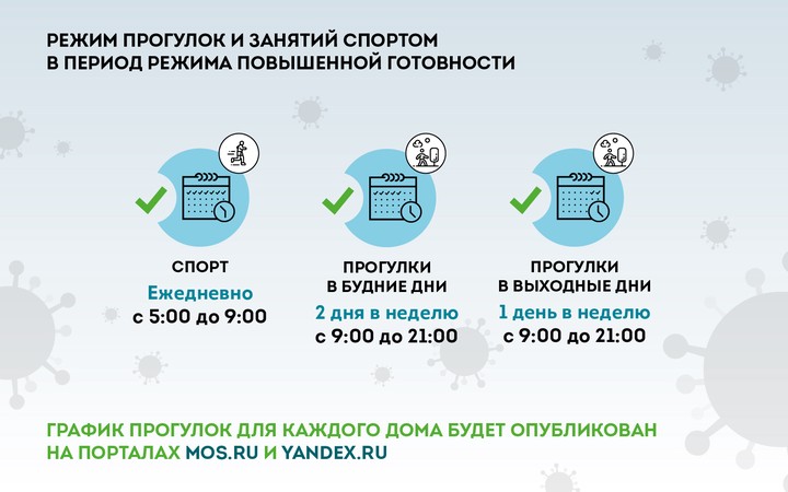 Власти Москвы установили правила прогулок на свежем воздухе