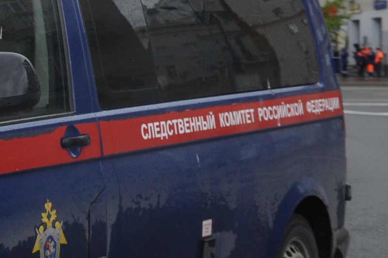Уголовное дело возбудили после обнаружения двух тел в частном доме в Москве
