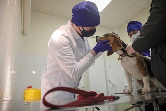 Стали известны самые высокооплачиваемые вакансии в Москве