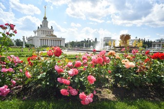 Более 40 тысяч растений украсили цветники ландшафтного парка ВДНХ