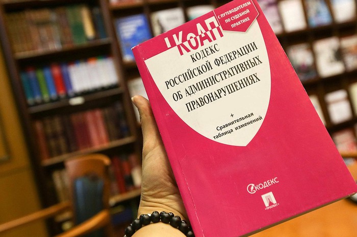 Юрист объяснила, как похоронить домашнее животное и не нарваться на штраф