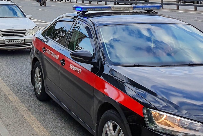 Пропавшая 12-летняя девочка разыскивается в Москве