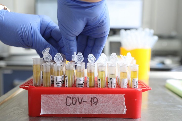 Более 10 тысяч новых случаев COVID-19 выявили за сутки в Швейцарии