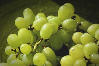 В Роскачестве рассказали, как выбрать вкусный виноград