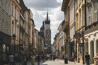 Историк объяснил, зачем Польша развязала скандал с Катынским расстрелом