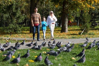 Повышенные выплаты и развод: ответы на главные вопросы по пособиям на детей