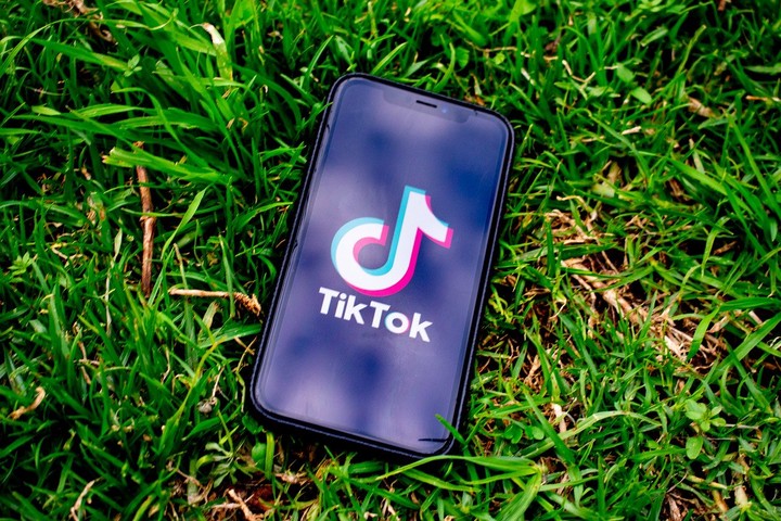 «Накопились вопросы»: гендиректора TikTok в России позвали в Госдуму на разговор
