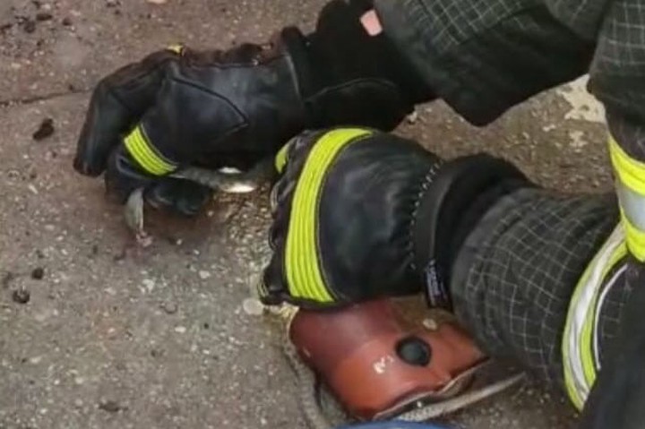Спасатели поймали змею на балконе жилого дома в Подмосковье