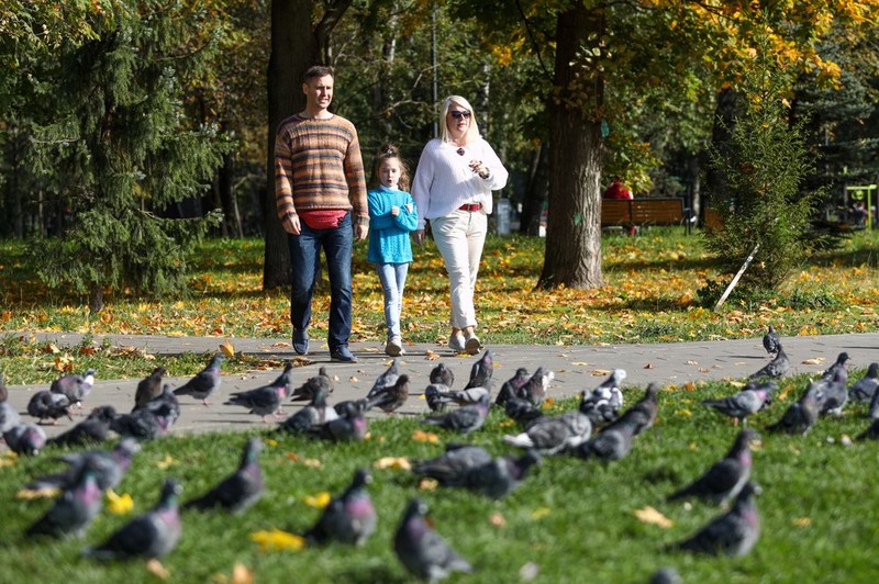 Почти 2,7 тысячи птиц сосчитали в природных парках Москвы 