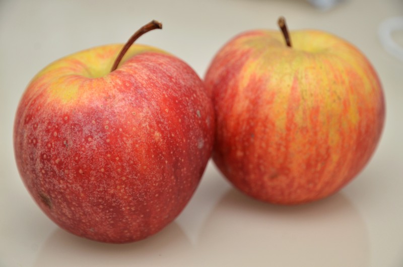 Ученые обнаружили неожиданный эффект от употребления яблок