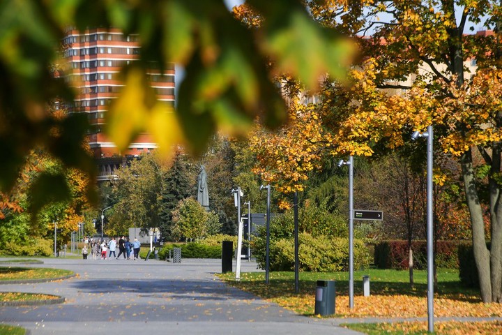 Бесплатные онлайн-занятия подготовили специалисты Мосприроды