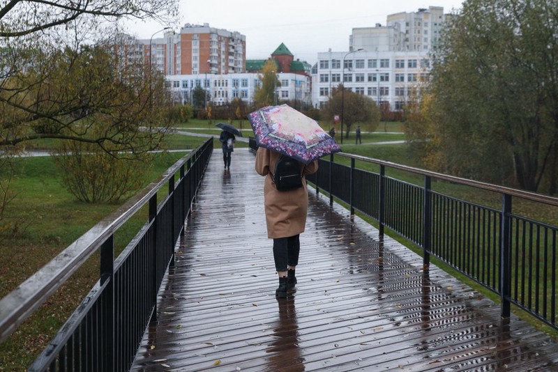 Небольшие дожди ожидаются в Москве в выходные