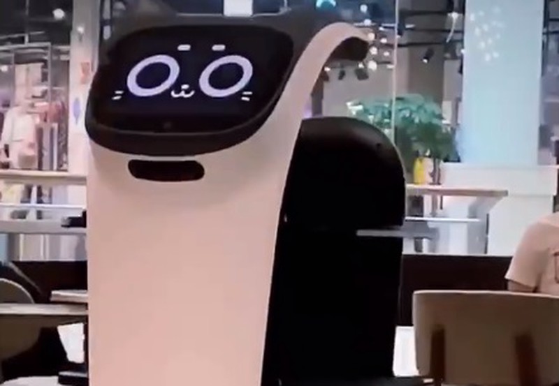Посетителей московских кафе начали обслуживать роботы-официанты