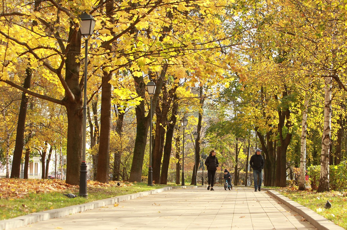 Около 130 деревьев и свыше 500 кустарников высадят в парке Декабрьского восстания осенью