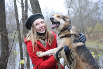 Волонтеры помогают бездомным животным
