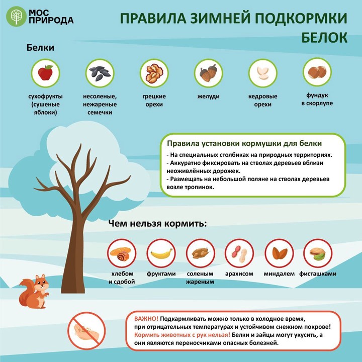 В Мосприроде объяснили, чем нельзя подкармливать животных зимой