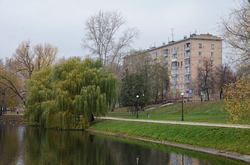 Тело 14-летнего подростка обнаружили в пруду в Новой Москве