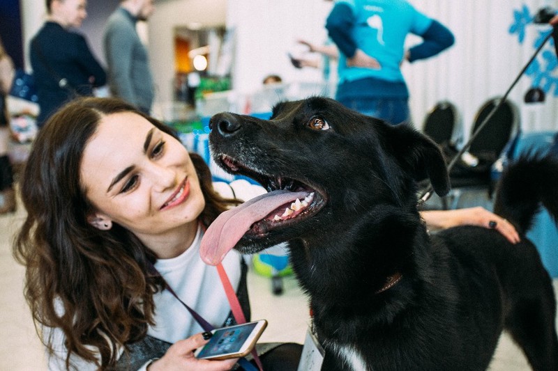 Дептранс Москвы провел фотосессию в поддержку бездомных животных
