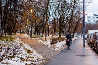 Около пяти тысяч деревьев и кустарников планируют высадить в столичной Некрасовке