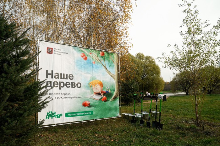 Москвичам рассказали о работе проекта «Наше дерево»