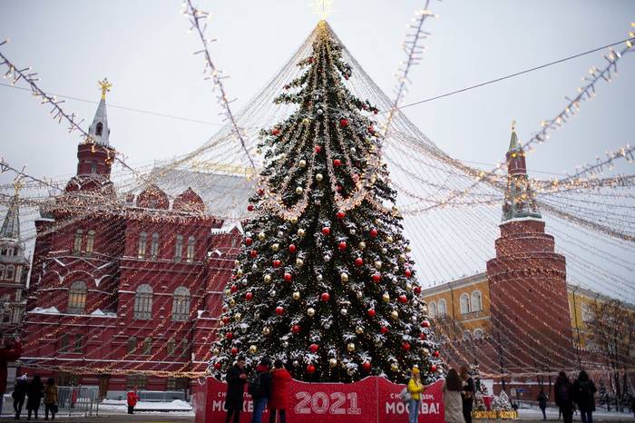 Главную новогоднюю елку России срубят 14 декабря