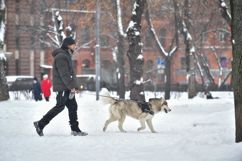 Синоптики сообщили о погоде в Москве 19 января