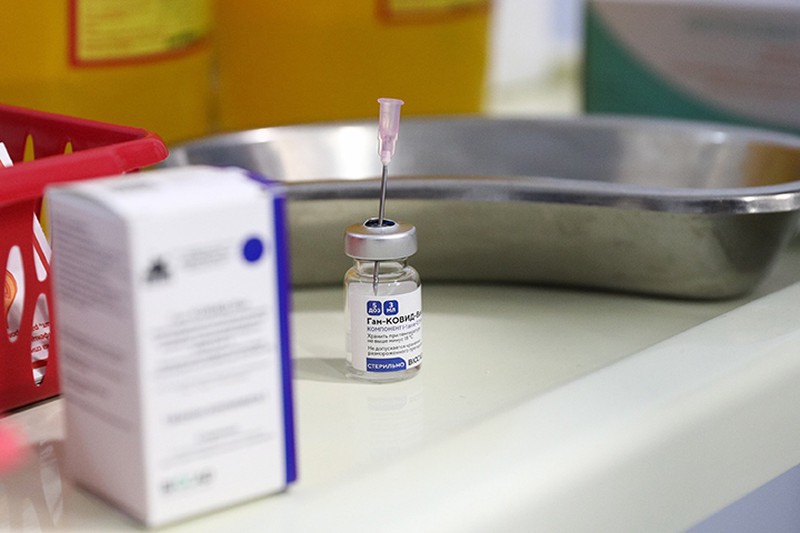 Нижегородские ученые создали прототипы вакцин от COVID-19 и ВИЧ-инфекции