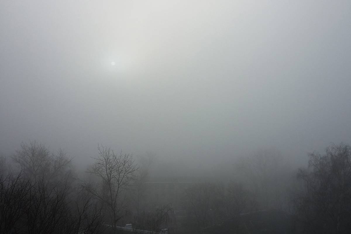 «Желтый» уровень опасности объявили в Подмосковье из-за тумана
