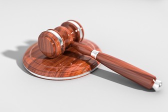 Суд вернул в СИЗО четырех фигурантов дела о торговле детьми от суррогатных матерей