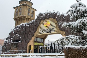 Мадагаскарские тенреки в Московском зоопарке ушли в зимнюю спячку
