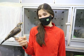 Вера и опора пернатых: как москвичка создала приют для птиц